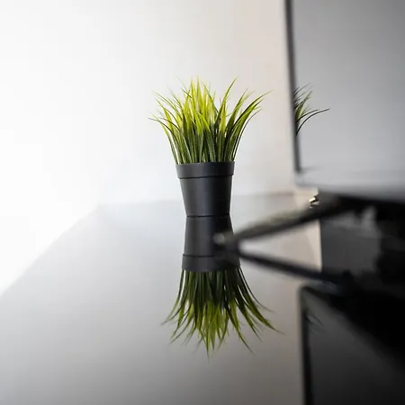 In The Center Of Apartment